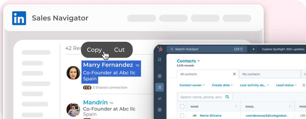 Without LeadCRM